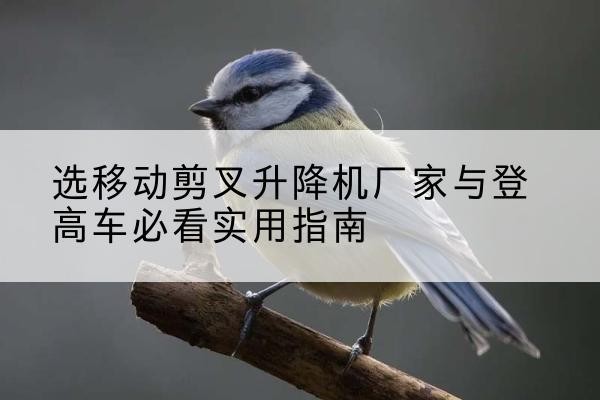蒲城电动升降机厂家-选移动剪叉升降机厂家与登高车必看实用指南