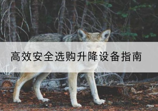 蒲城升降货梯厂家推荐-*安全选购升降设备指南
