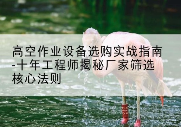 蒲城剪叉式升降机厂家-高空作业设备选购实战指南-十年工程师揭秘厂家筛选核心法则