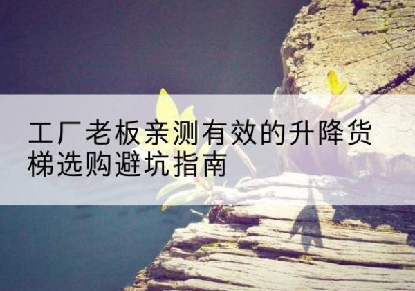 蒲城升降货梯怎么选-工厂老板亲测有效的升降货梯选购避坑指南